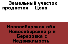 Земельный участок продается. › Цена ­ 690 000 - Новосибирская обл., Новосибирский р-н, Березовка с. Недвижимость » Земельные участки продажа   . Новосибирская обл.